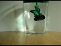 Diffusion