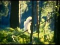 yeti cave teaser