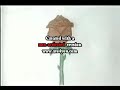 Mẩu video hay nhất 