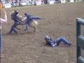 wild pony racing in wetaskiwin 07