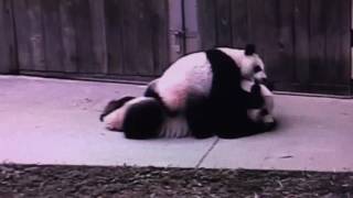 Smithsonian National Zoo