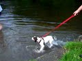 Molly tries out the water in Spark Bridge