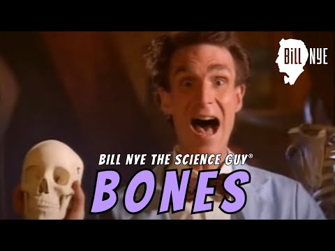 Bill Nye The Science Guy on Bones (Full Clip)