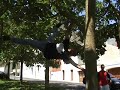 abrutis de la gym !! abrutis de la gym !!