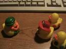 Rubber Ducky 9