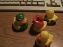 Rubber Ducky 9