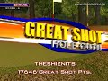 Golden Tee Great Shot on Sunny Wood! Golden Tee Great Shot on Sunny Wood!