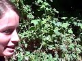 DriveAbout 106 - Redwood National Park, CA