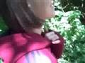 videos de DriveAbout 106 - Redwood National Park, CA
