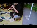 Ikan Di Laut-Kump Gemala Kasturi