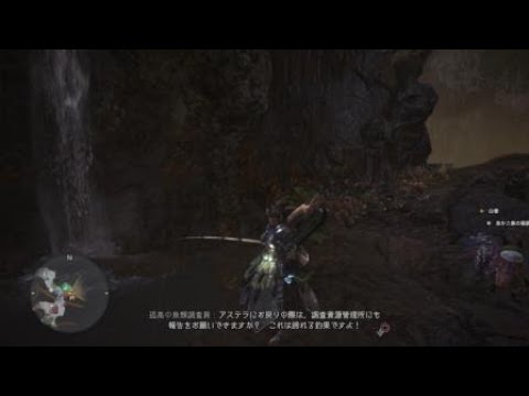 Mhw ぶんどり