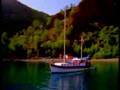 Hamiyet Y�ceses: Bakm�yor �e�mi Siyah