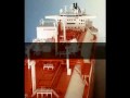 Blanco Modelos Navales: Gaseros y Quimiqueros