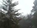Nevada en Tulancingo y Acaxochitlan Hidalgo