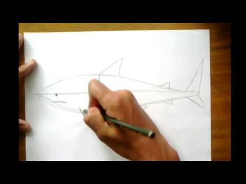 Como desenhar um tubarão aula de desenho realista e hq comics Jonathangstrex Desenhos vide
