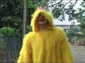 Zape Pelele Channel  Amigo de pollo!!