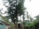 Ecosan in a village- nemmanahalli (Kannada)