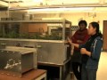Air Purification System for a Pollution-free milieu indoors