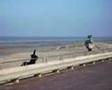 videos de TJB crew   -   training met CB