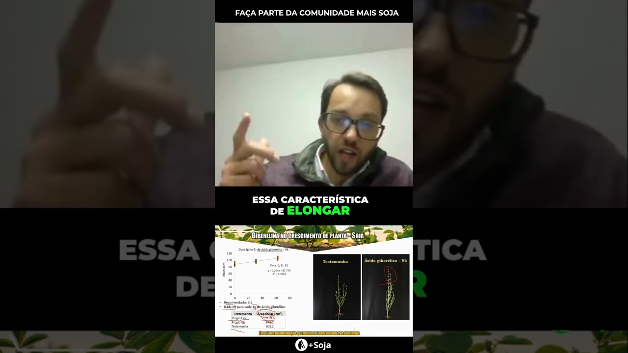Ácido Giberélico: Aumenta a sua Produtividade #agro #maissoja