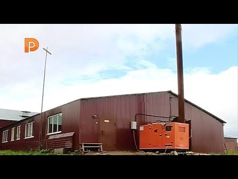В Костромской области открылась индюшиная ферма