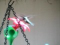videos de NAME THAT HUMMINGBIRD!