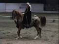 TAEZ  GP Musical Freestyle in Costume at The Regionals