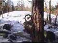 Training in Vuohimäki Mar-07