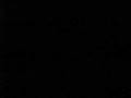 videos de Strobe Motion