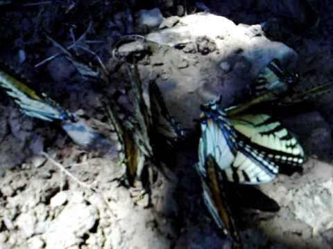 how to take off sink knobs