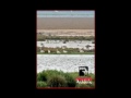 videos de saluda merchan