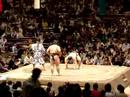 slapstick sumo slapstick sumo