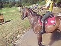 Feldbach CIC1* 2008