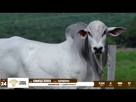 1� De Olho na Fazenda - Terra Nobre