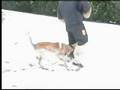 videos de cap entrainement 22-11-08.wmv
