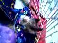Baby Buttons Vin Veasel - Ferret