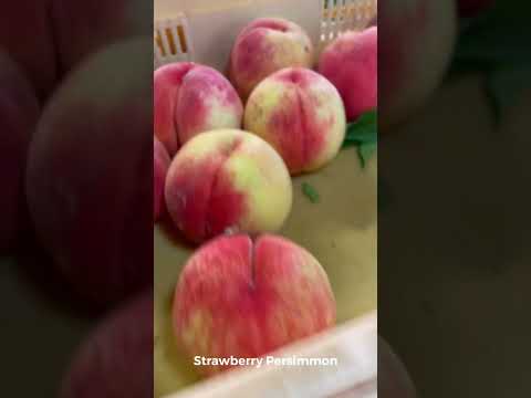 I LOVE YAMANASHI CITY