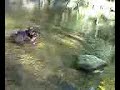 Tyson in the Wissahickon
