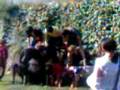 videos de piramide humana 3