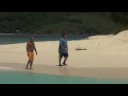 The Jorge & Company on Palm Tree TV St John VI USVI The Jorge & Company on Palm Tree TV St John VI USVI