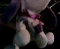 lil bear 2..