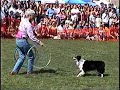 UC Davis Half Time Show - Trudy and Liberty