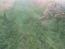 Iron Age fort in Southern England