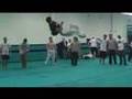 Anis Cheurfa Derby Tricks