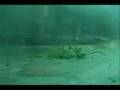 videos de June 1, 2008 Severe Winds in Western Arkansas