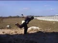 Le parkour & 3run crash by Digidy