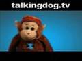 TDTV - Rasta Man Ad