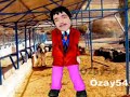 Bulgar-Macurlari-Rom