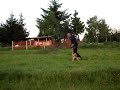 Dresura 7