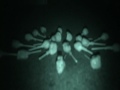 Granada Theater Ghost Investigation Follow up of Emmas Hallway